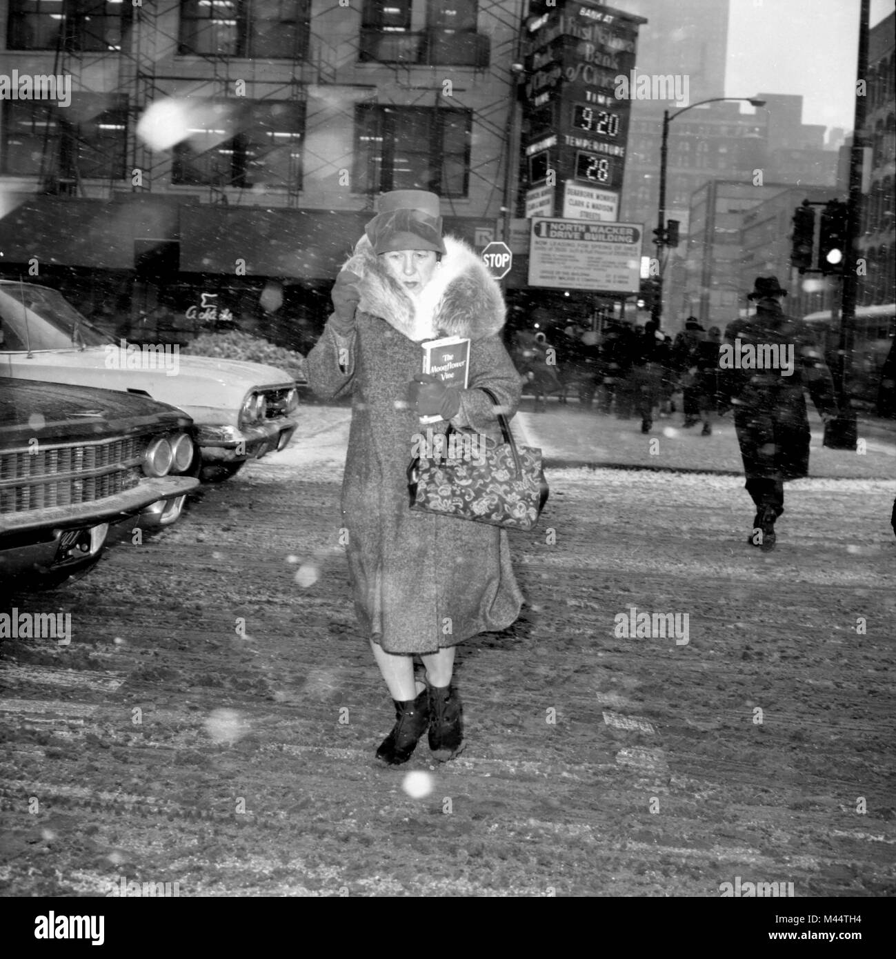 Ein gebündelter, Frau durchquert ein Chicago Straße in einen Schneesturm, Ca. 1962. Stockfoto Ein gebündelter, Frau durchquert ein Chicago Straße in einen Schneesturm, Ca. 1962. Stockfoto