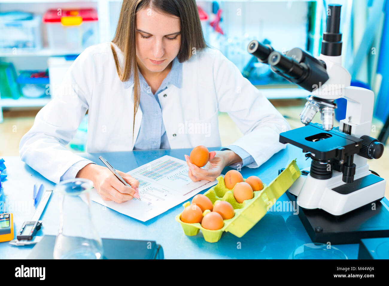 Eier Produkt Forschung. Die Qualität der Verarbeitung von Lebensmitteln. Stockfoto
