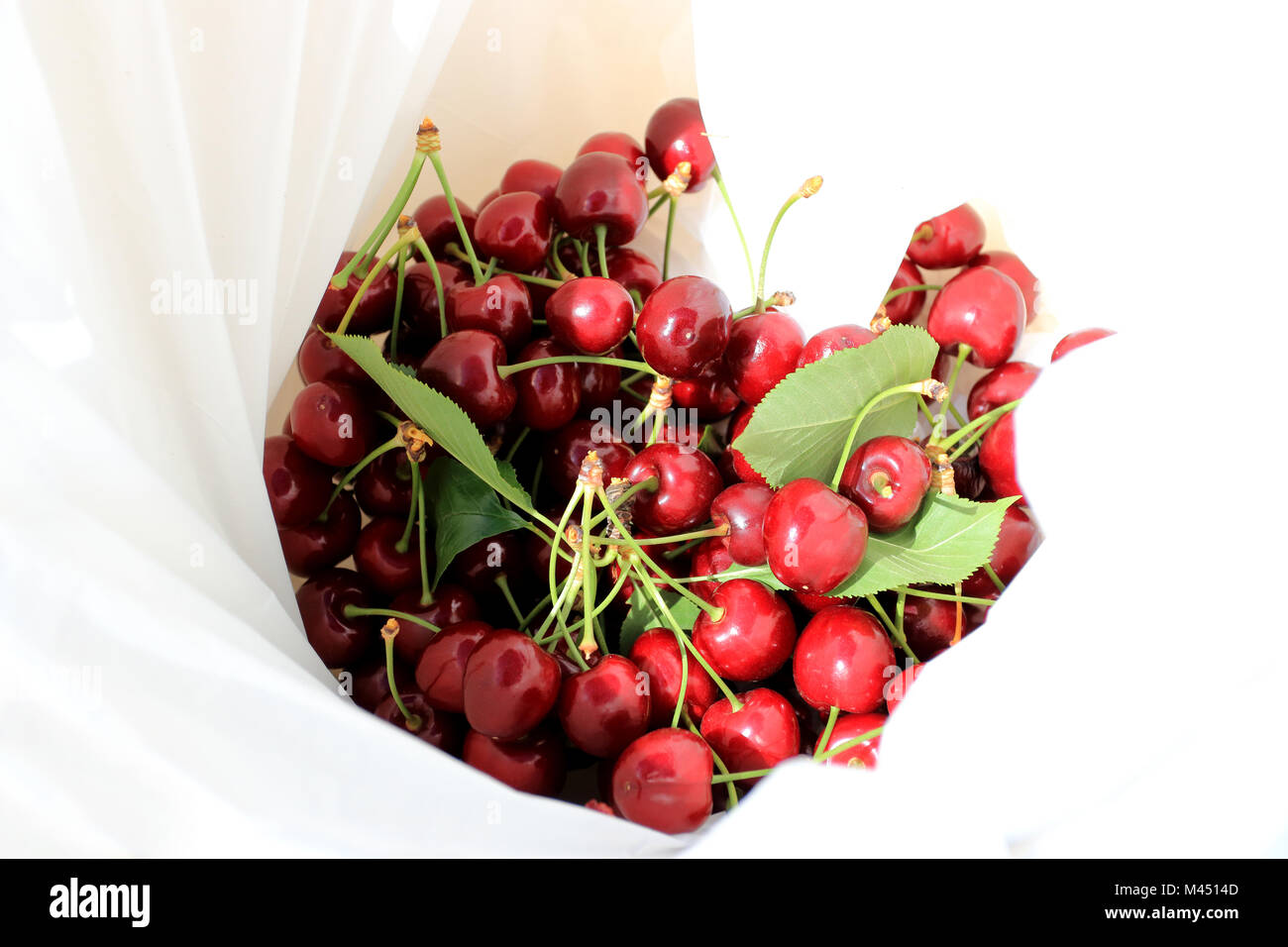 Frische Kirschen in weiße Plastiktüte Stockfoto