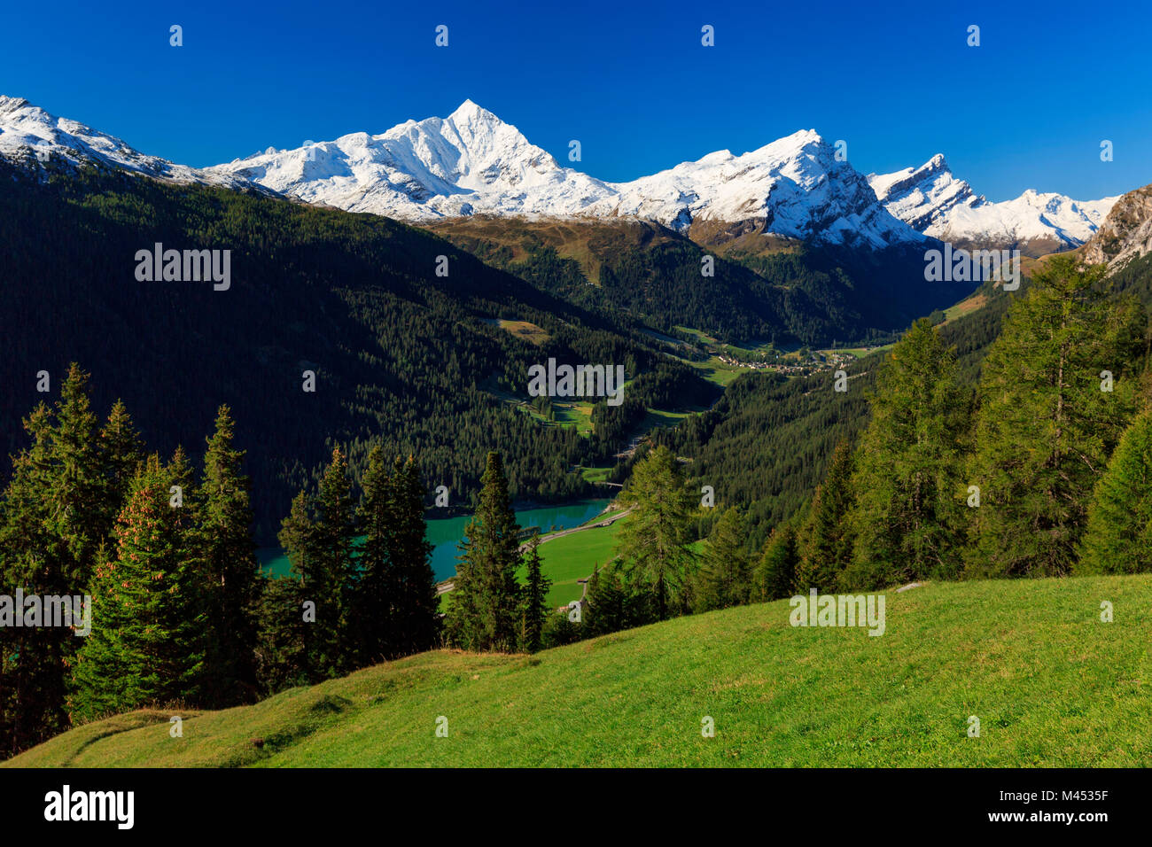 Blick auf Rheinwald und Surfersee See aus dem Weg zu Lai da Vons