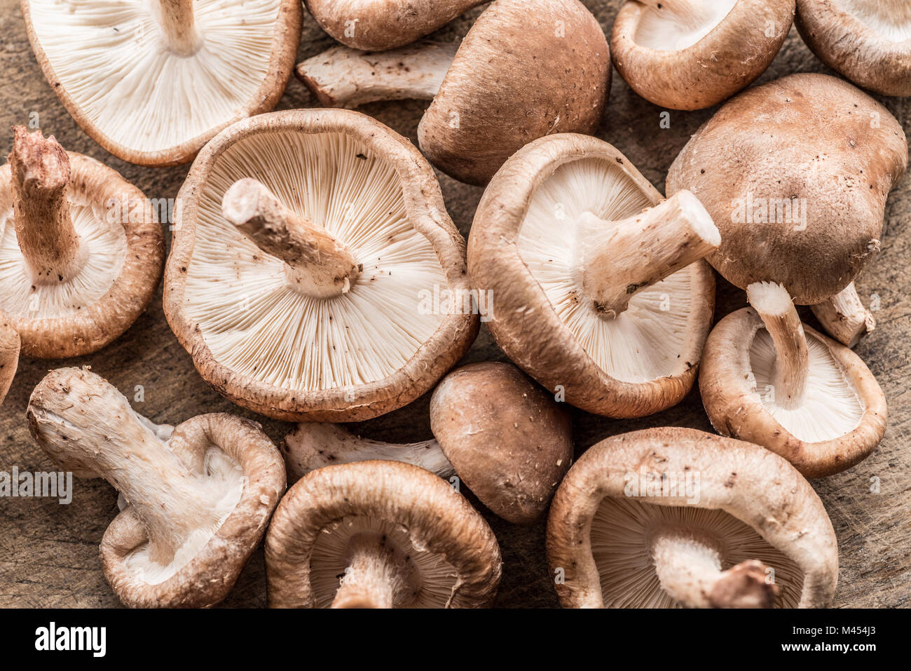 Shiitake Pilze auf dem Holz- Hintergrund. Stockfoto