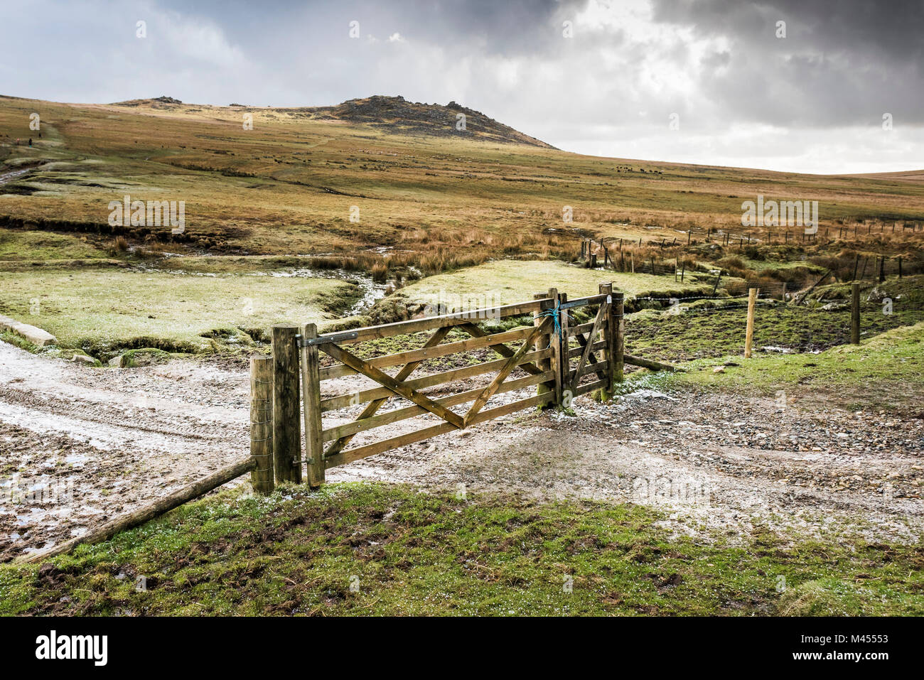 Eine hölzerne fünf bar Gate auf einen Track auf grobe Tor auf Bodmin Moor in Cornwall. Stockfoto