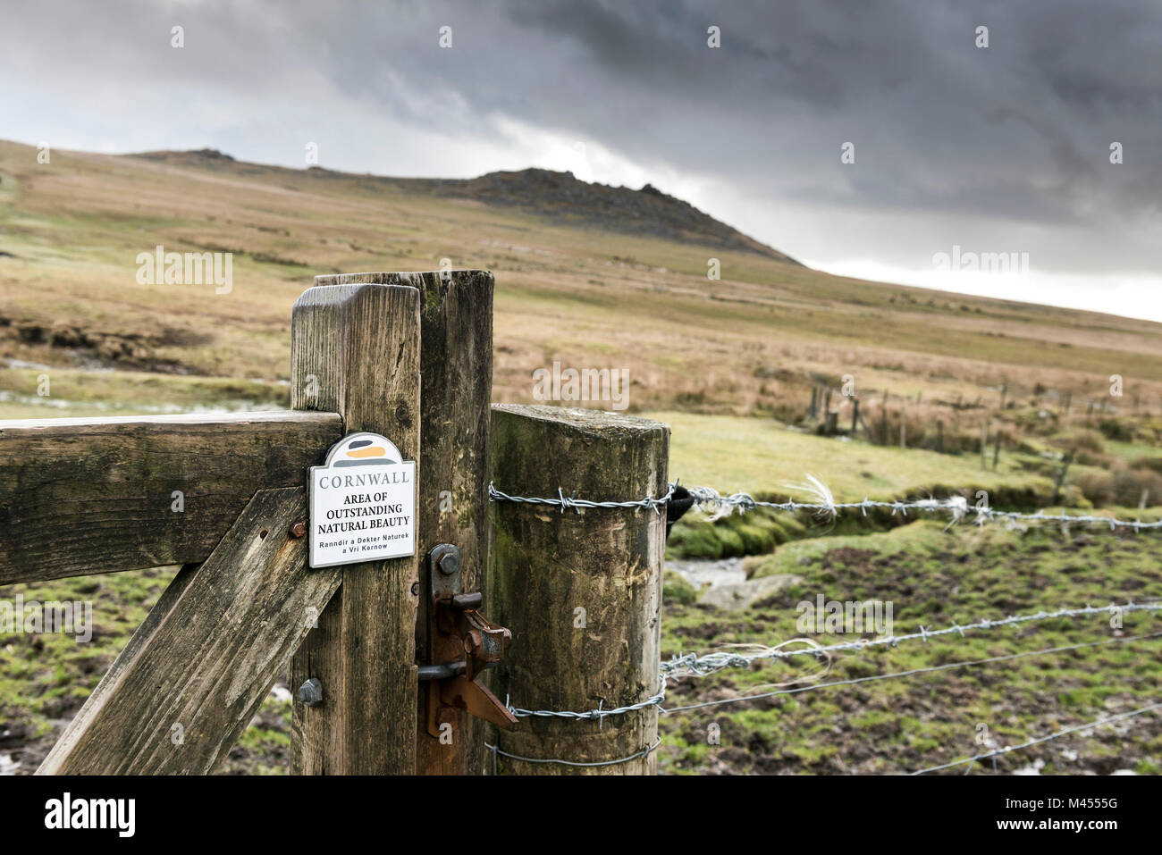 Rough Tor auf Bodmin Moor in Cornwall. Stockfoto