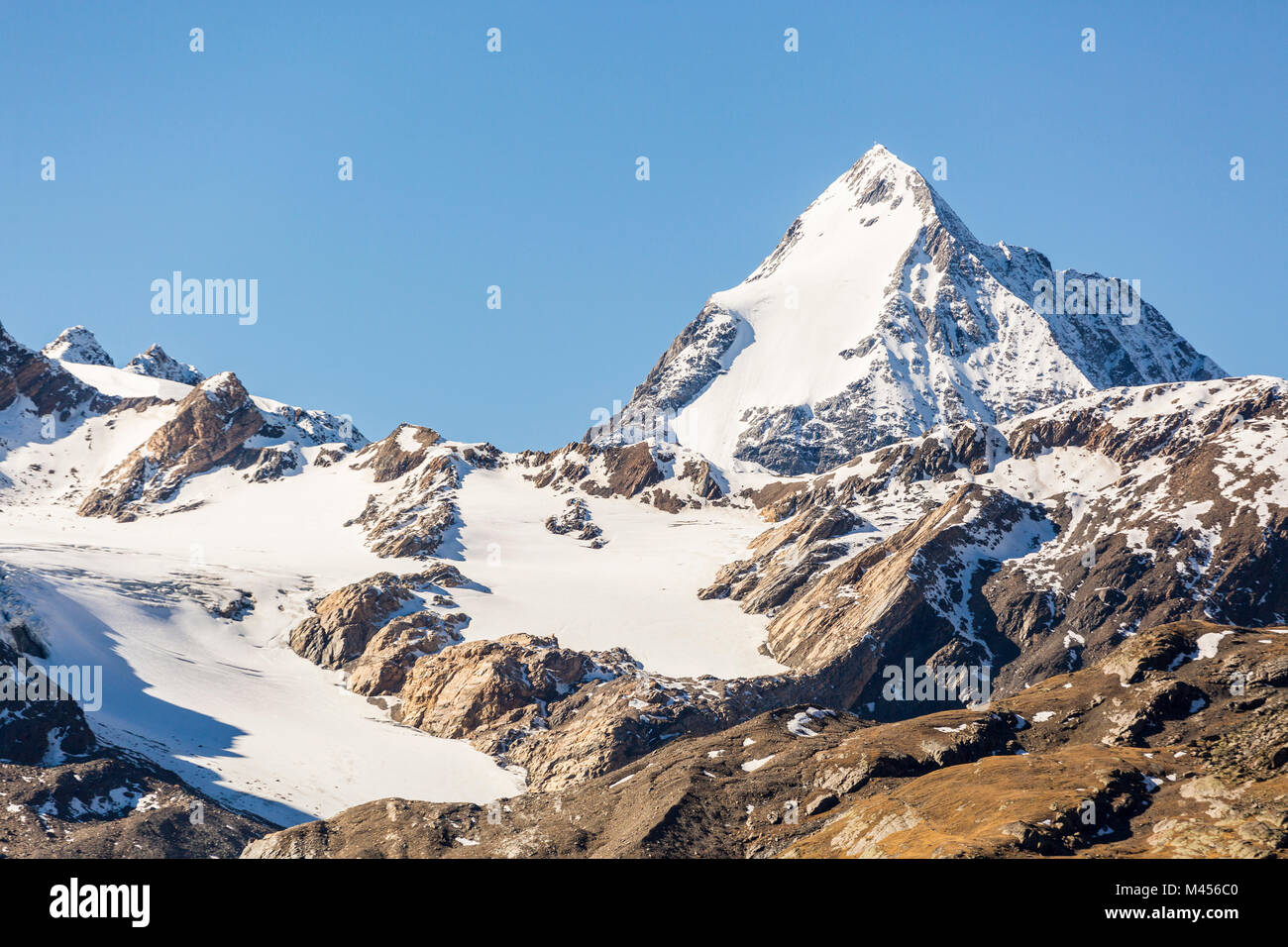Schneebedeckten Gipfel des Gran Zebru, Val Martello, Vinschgau, Provinz Bozen, Südtirol, Italien Stockfoto