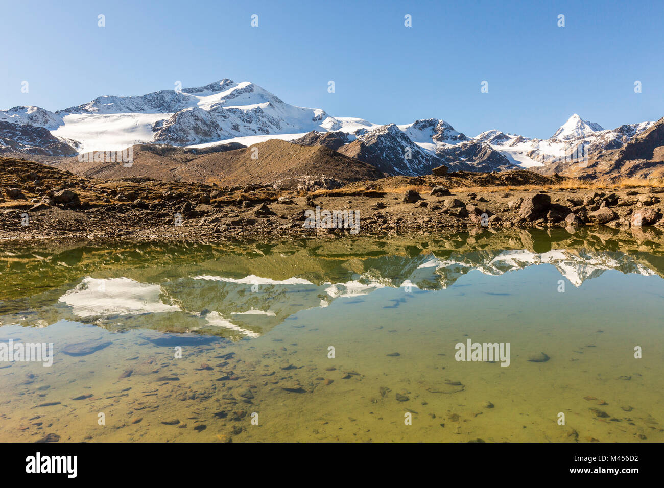 Zufallspitze spiegelt sich in der alpinen See, Val Martello, Vinschgau, Provinz Bozen, Südtirol, Italien Stockfoto