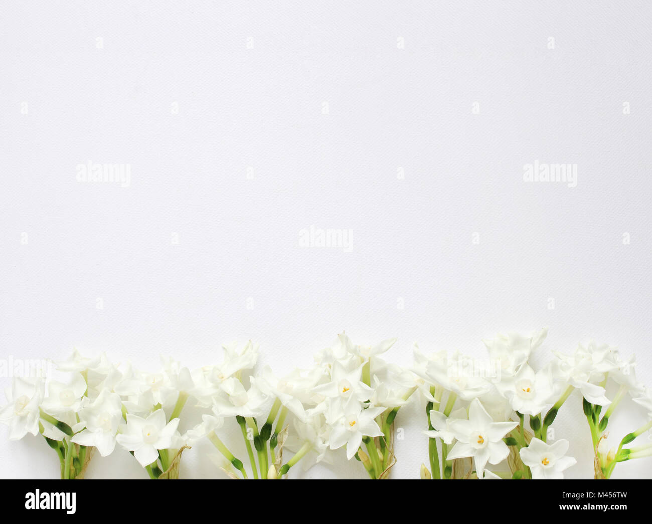 Styled Foto. Frühling, Ostern feminine desktop Szene mit rosa Platte, Narzissen, Narzissen Blumen und weißen Tisch. Florale Komposition, web Banne Stockfoto