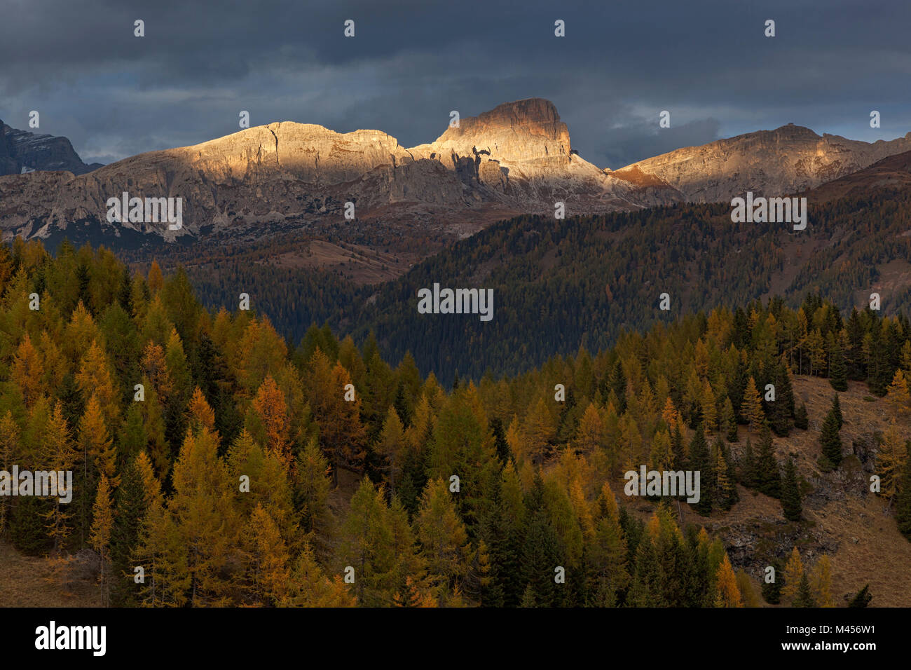 Nuvolao Gruppe aus Laste Alm, Dolomiten, Rocca Pietore, Belluno, Venetien, Italien. Stockfoto