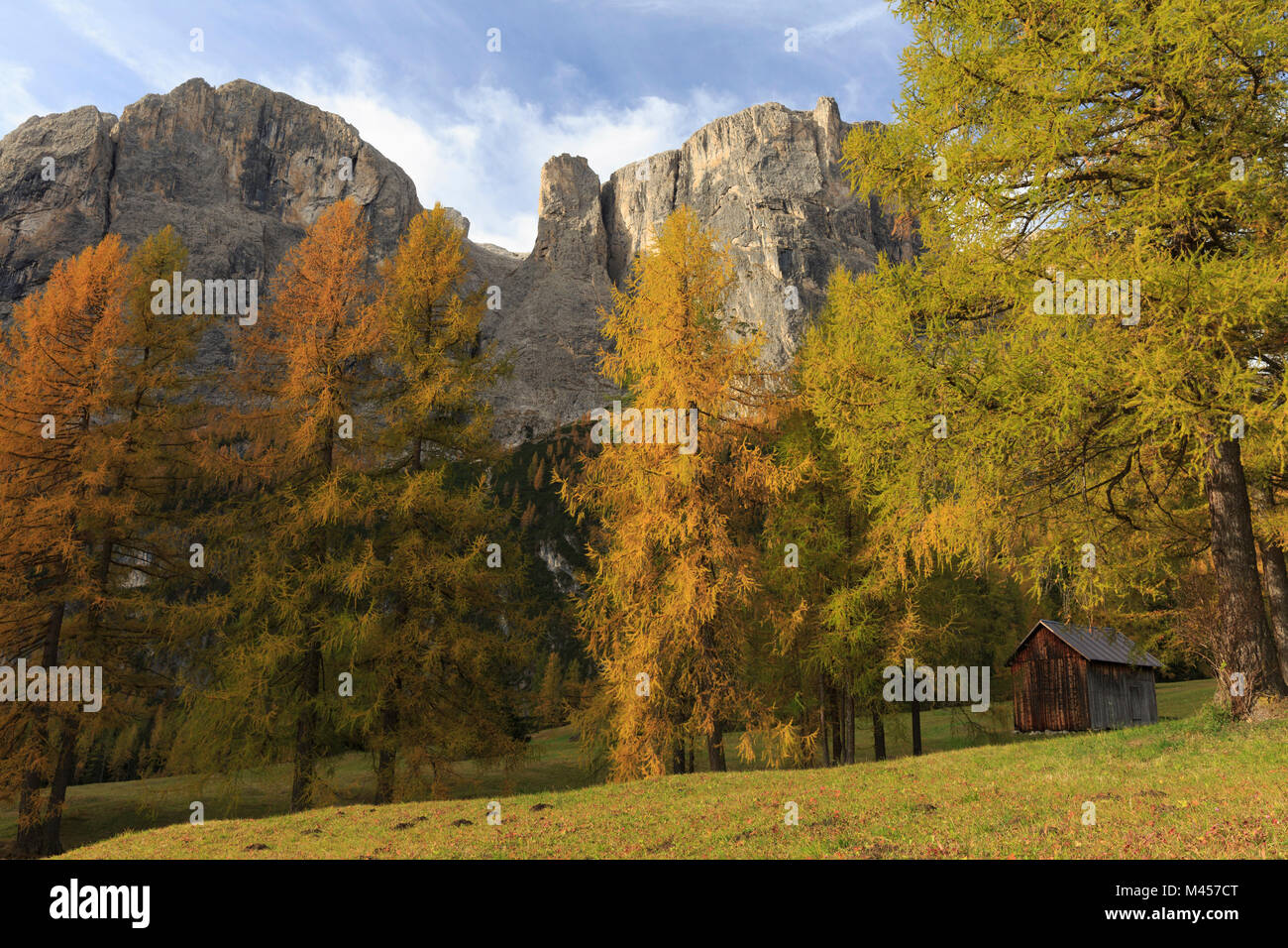 Holz- Hütte im Wald in der Nähe von Corvara im Herbst, Dolomiten, Val Badia, Gadertal, Provinz Bozen, Trentino Alto Adige, Italien Stockfoto