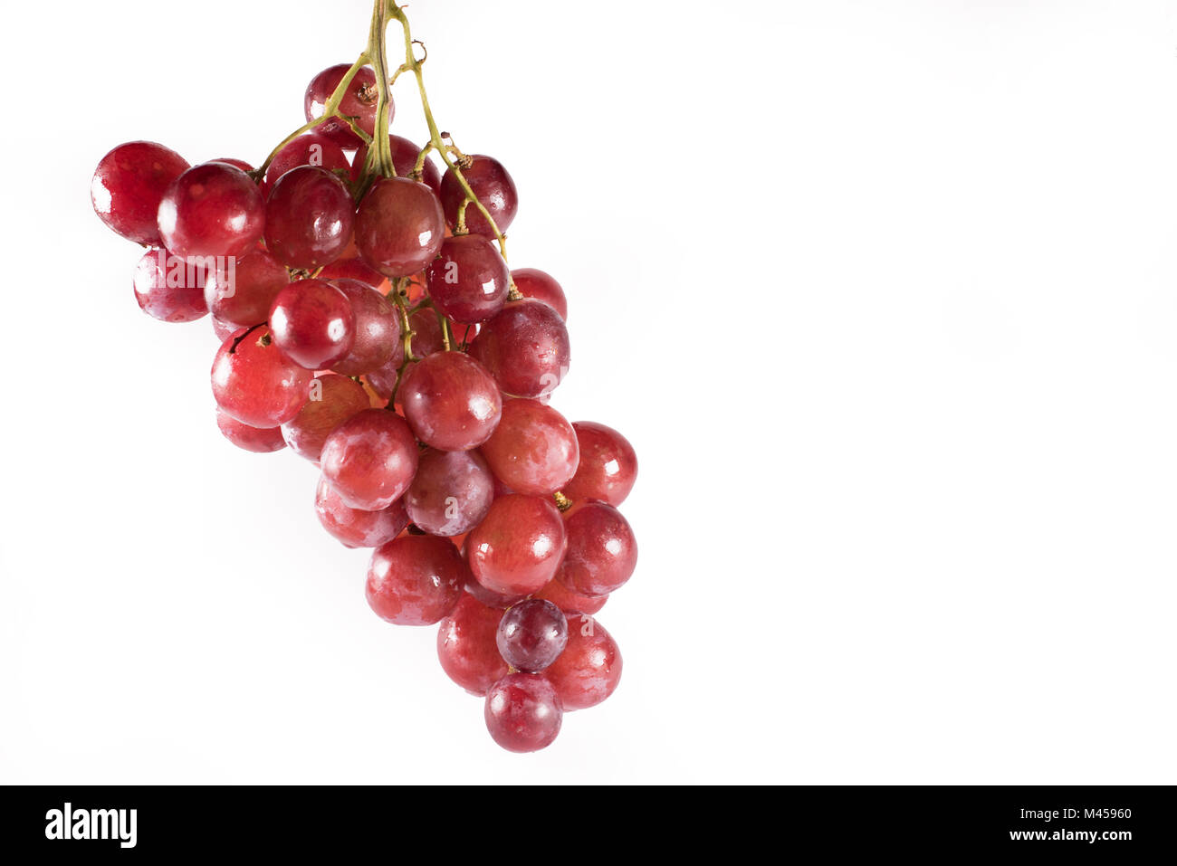 Rote Trauben mit Stielen auf weißem Hintergrund. Frische rote Trauben Stockfoto