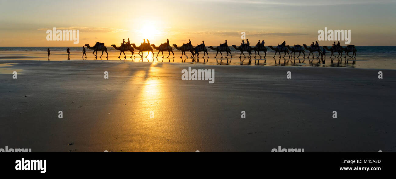 Kamele, die von Touristen am Cable Beach, Broome, West Kimberley, Western Australia geritten wird, Stockfoto