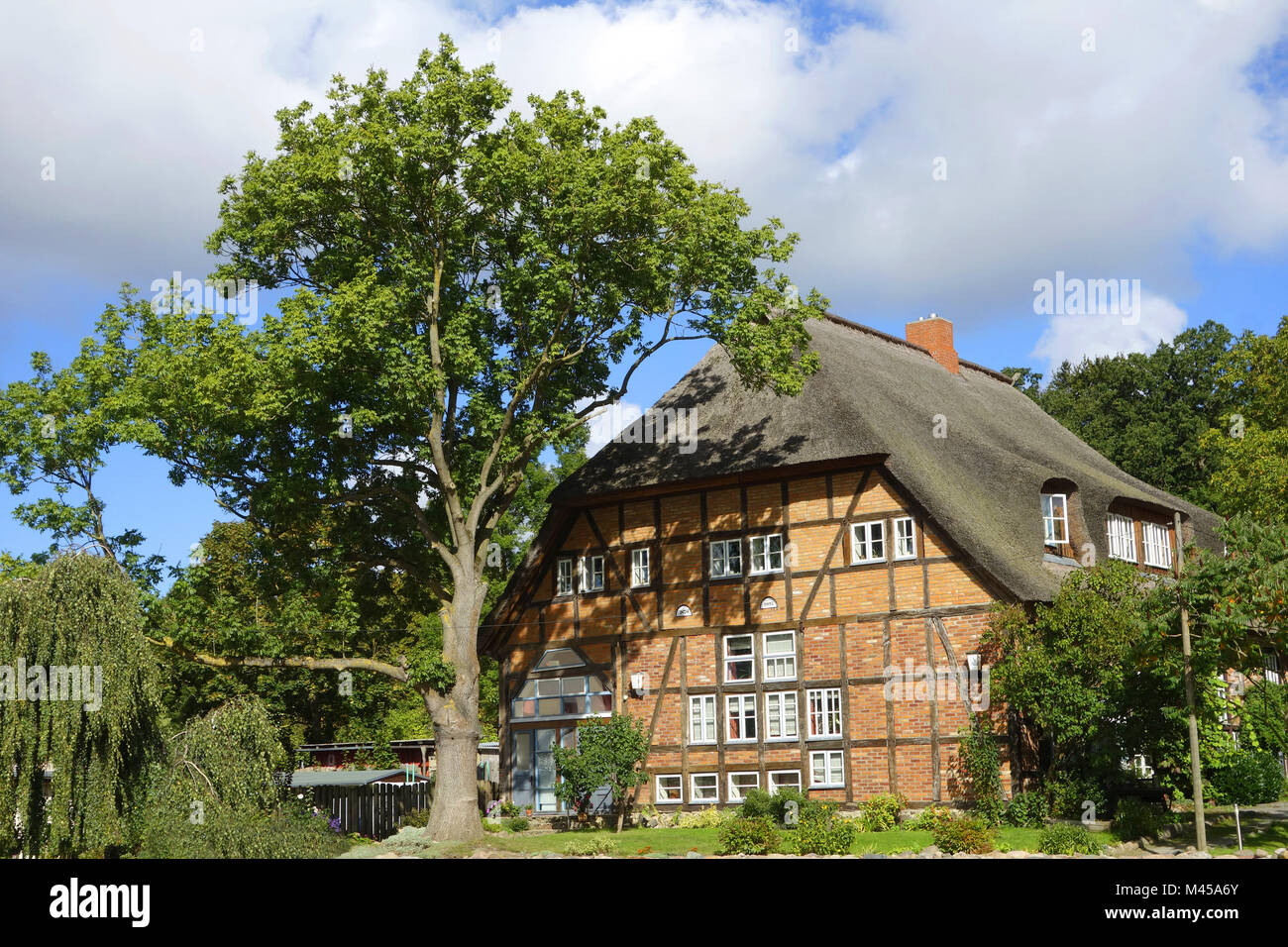 Kessin bei Rostock, Mecklenburg- Vorpommern, Deutsch Stockfoto