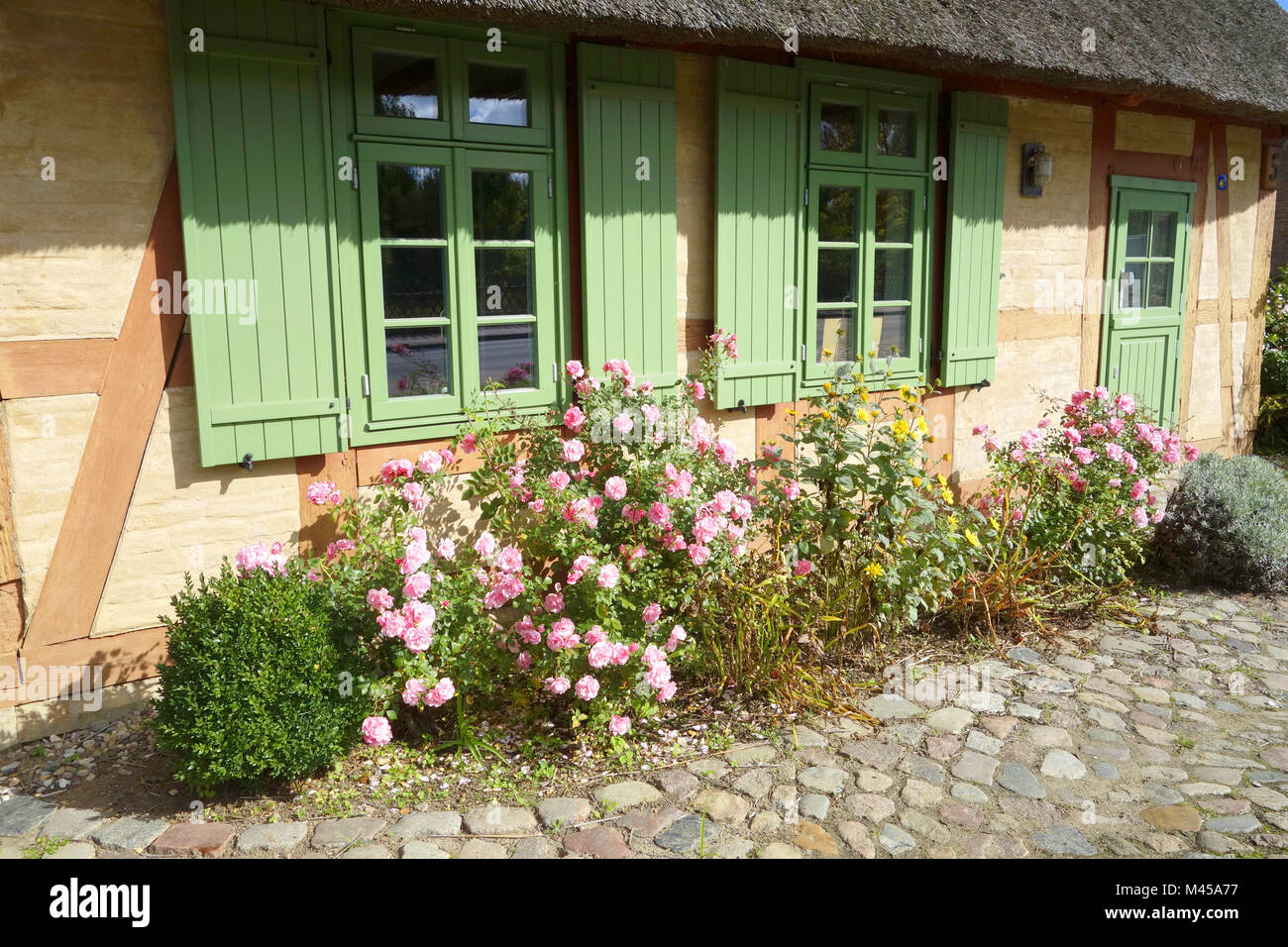 Kessin bei Rostock, Mecklenburg- Vorpommern, Deutsch Stockfoto