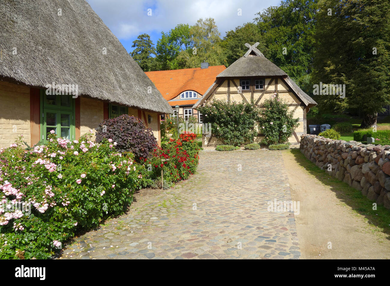 Kessin bei Rostock, Mecklenburg- Vorpommern, Deutsch Stockfoto
