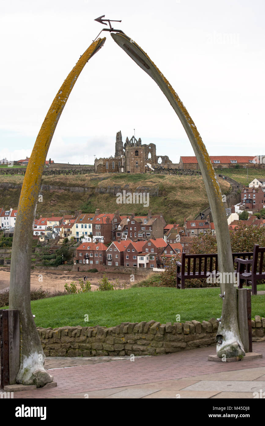 Walknochen am Whitby Stockfoto
