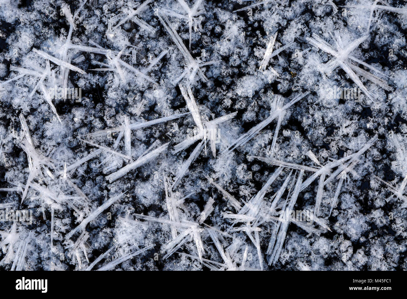 Frost und Eis, Siam Teiche Wilderness Area, Adirondack Forest Preserve, New York Stockfoto