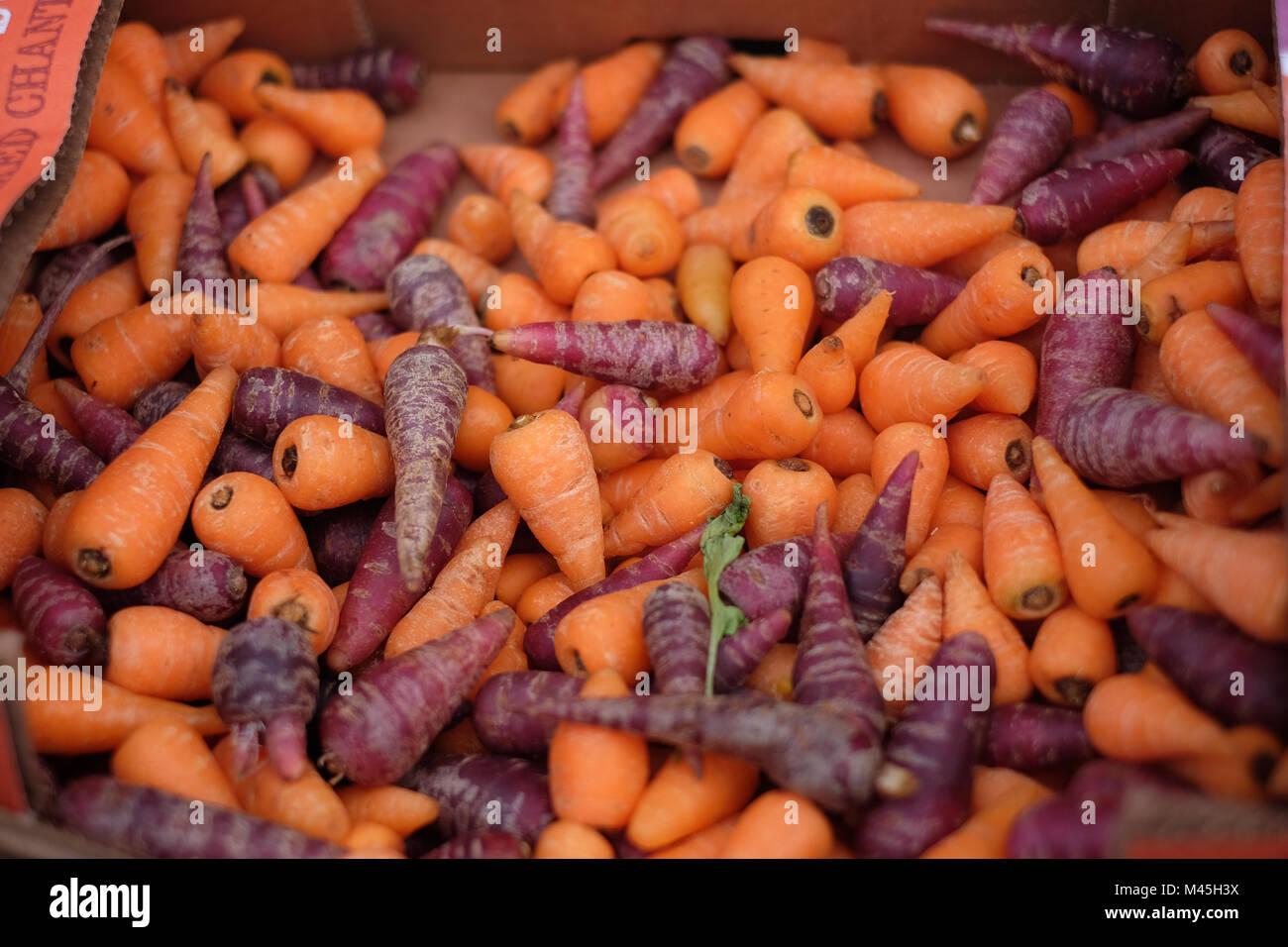 Eine Box mit Karotten für Verkauf Stockfoto