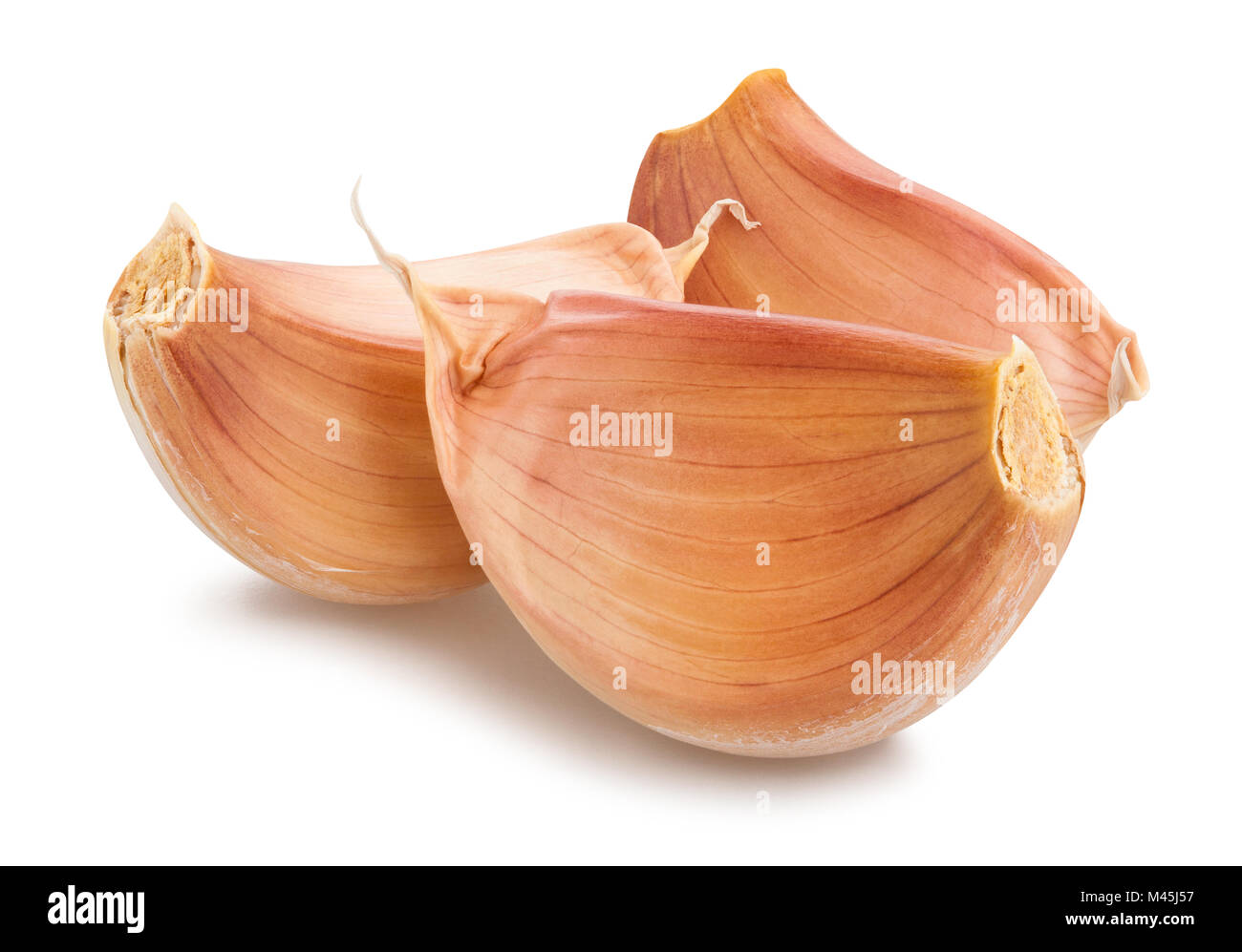 Knoblauchzehe Pfad isoliert Stockfoto