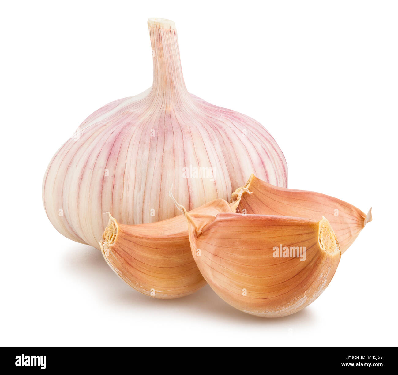 Knoblauchzehe Pfad isoliert Stockfoto