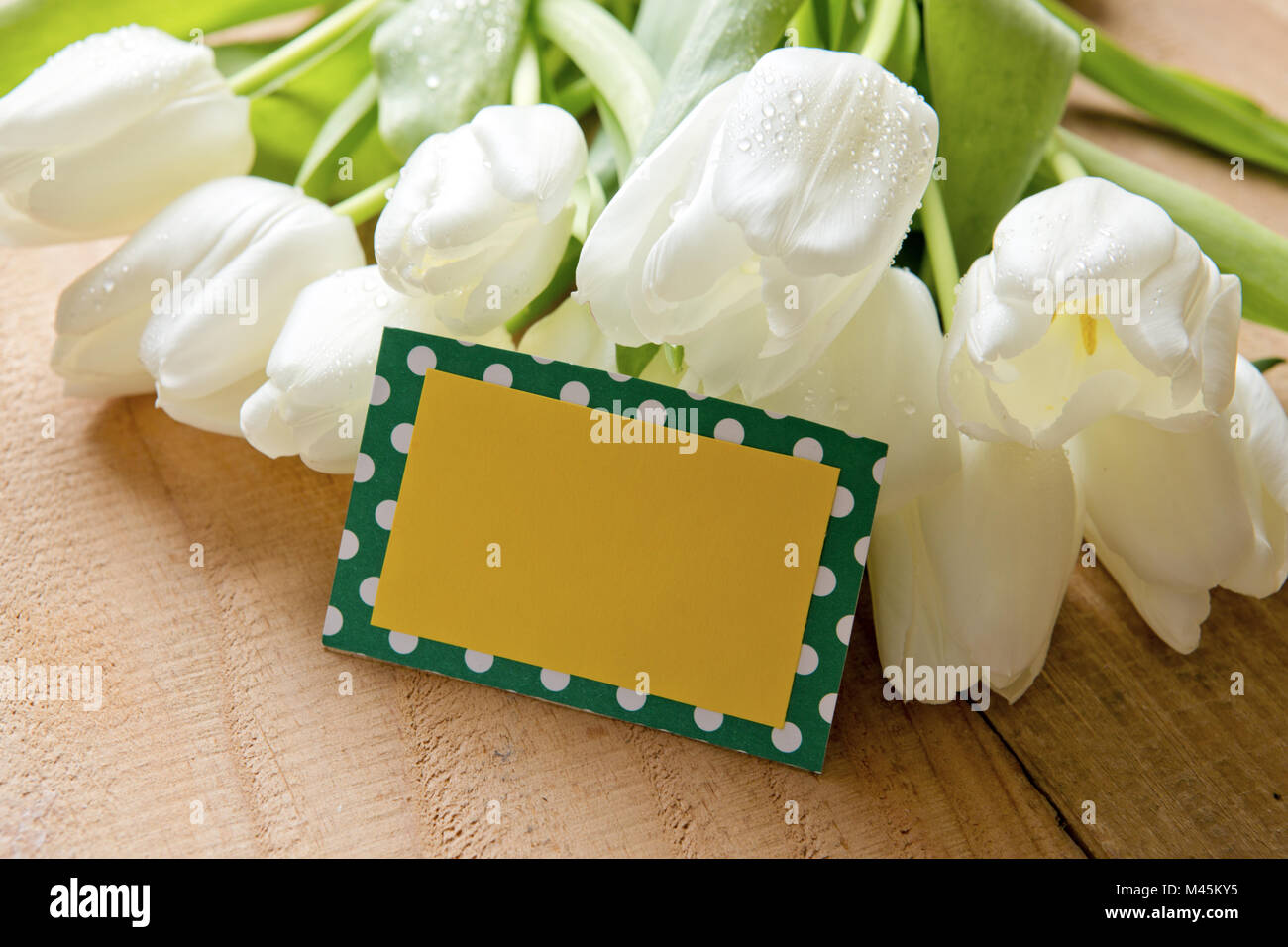 Blumenstrauß aus den weißen Tulpen mit leeren Karte für Text. Stockfoto
