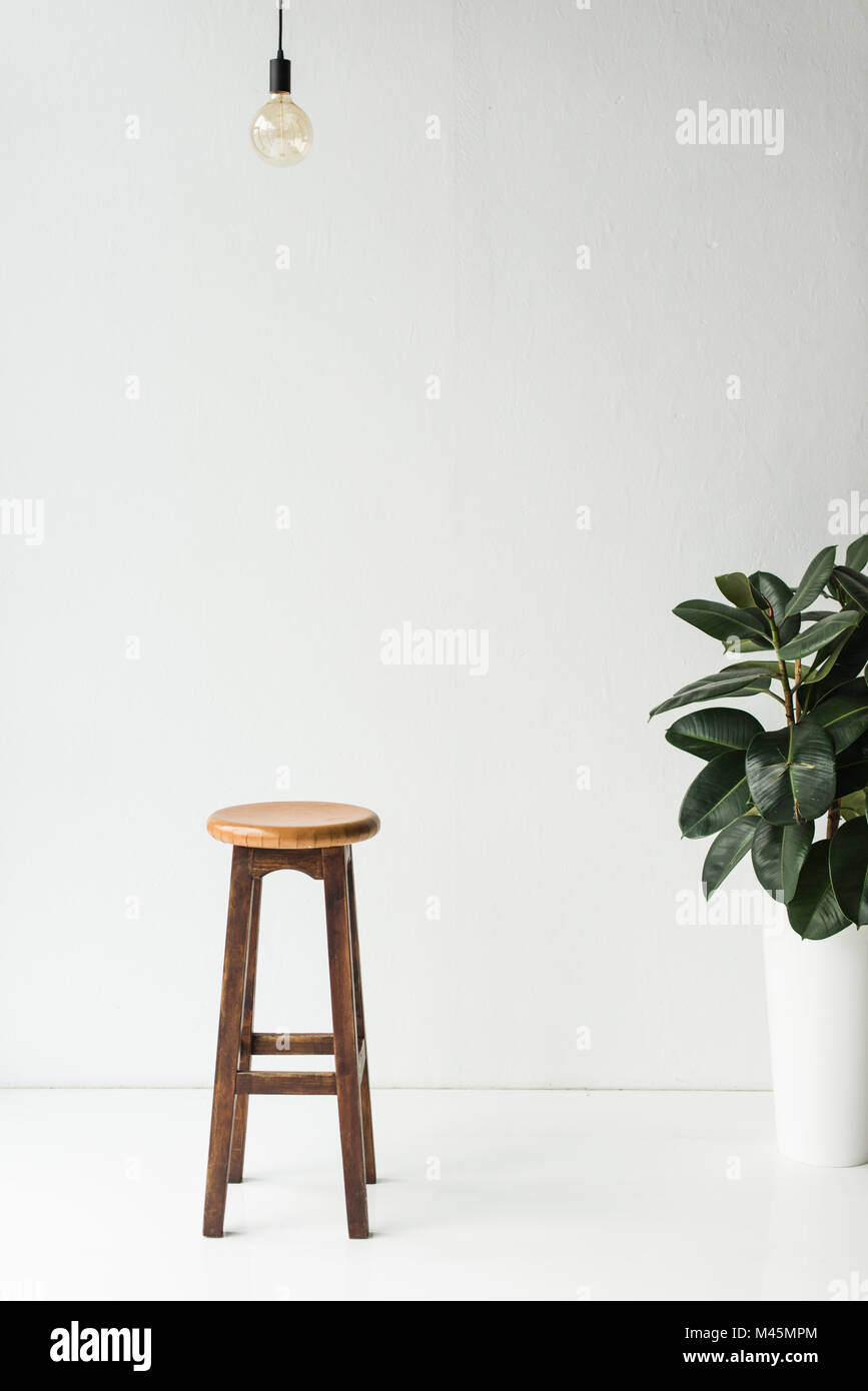 Holzstuhl, Lampe und Topfpflanze auf Weiß Stockfoto