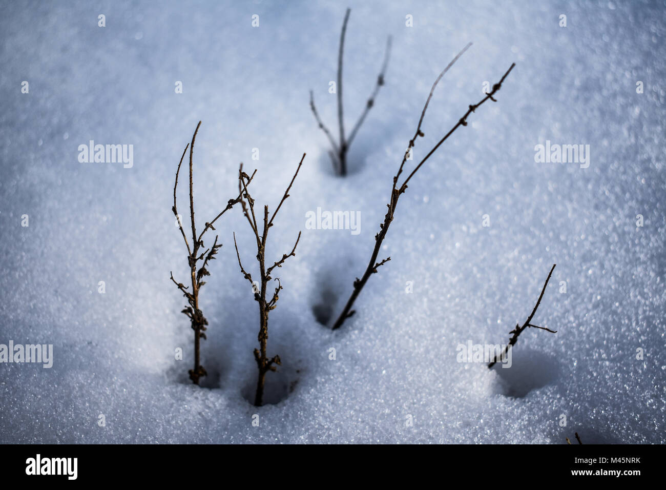 Kraft der Natur Stockfoto