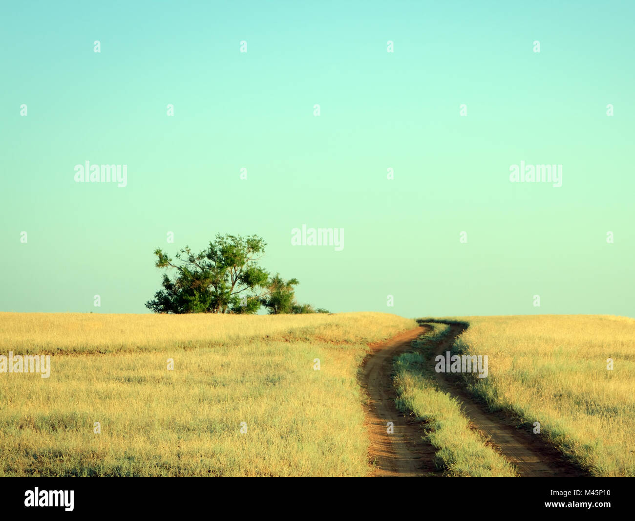 Landstraße führt zu einer einsamen Eiche im Sommer Stockfoto