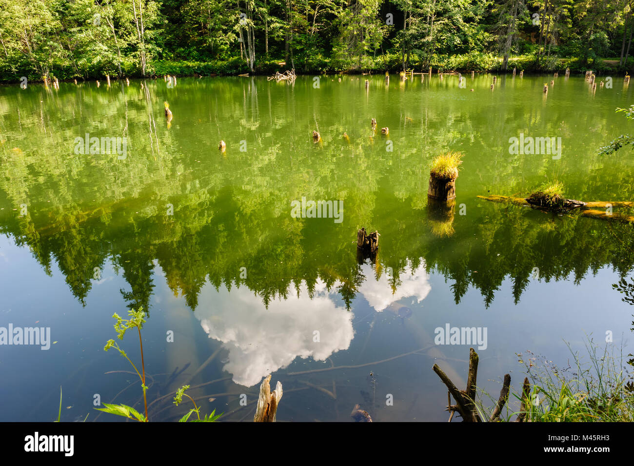 Lacul Rosu Red Lake, östlichen Karpaten, Rumänien Stockfoto