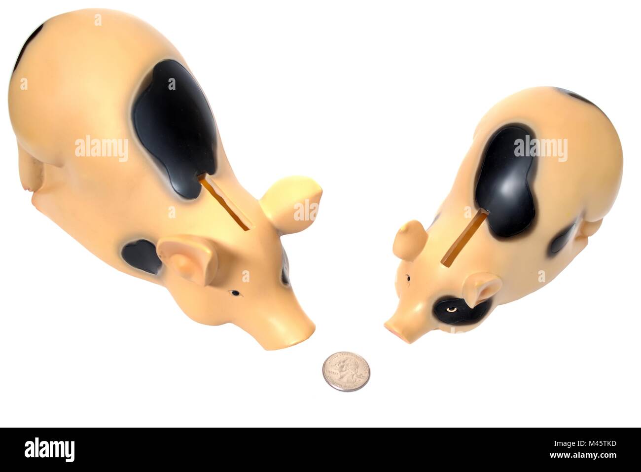 Zwei Schweine haben eine Münze gefunden. Stockfoto