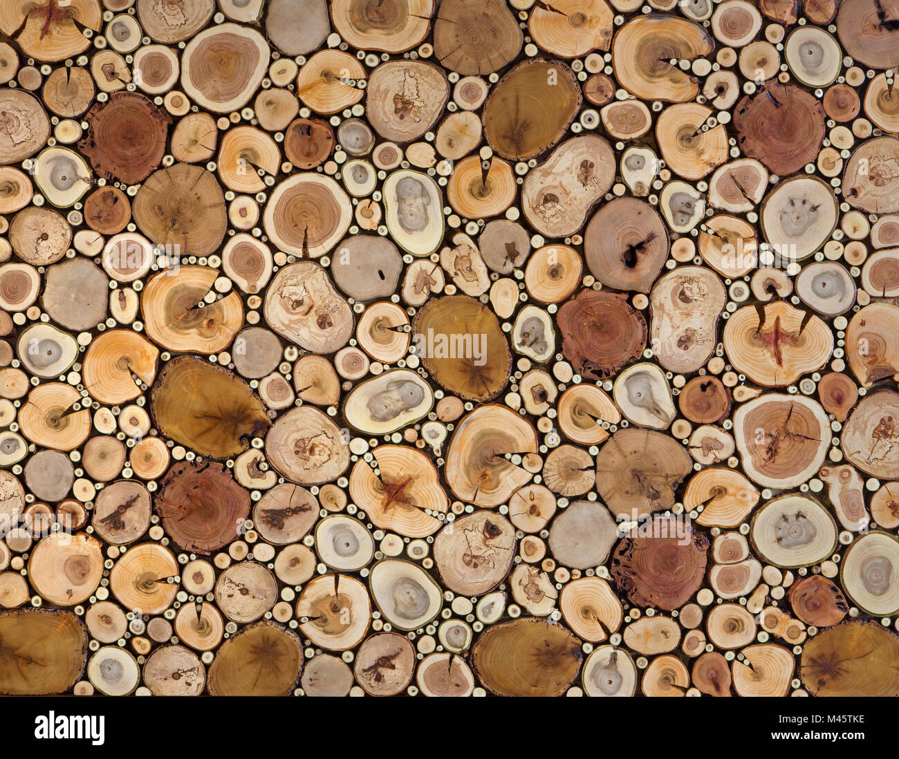 Die modernen Holz- wand Mosaik. Stockfoto