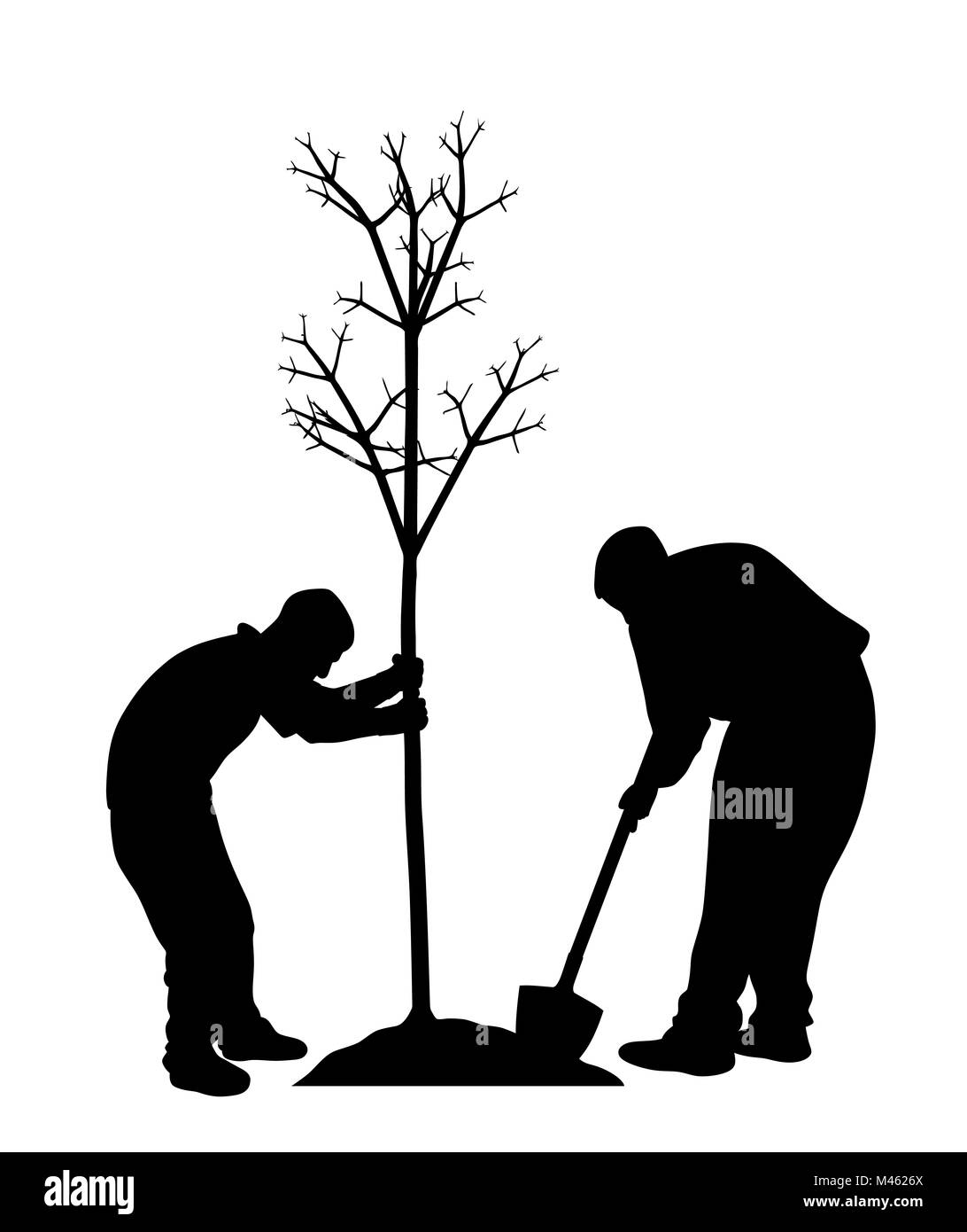 Zwei Männer einen Baum pflanzen Stockfoto