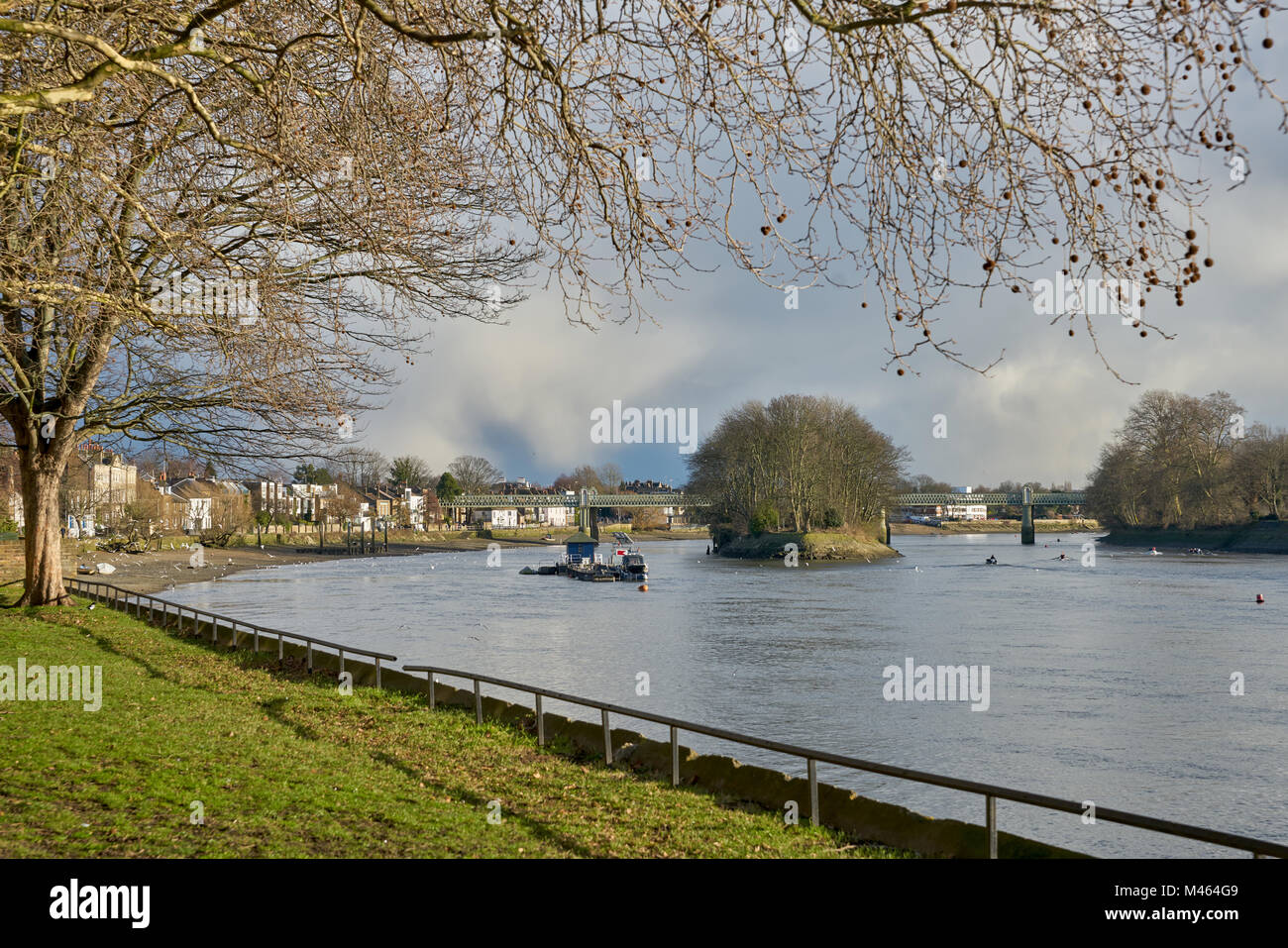 Themse in Chiswick Stockfoto