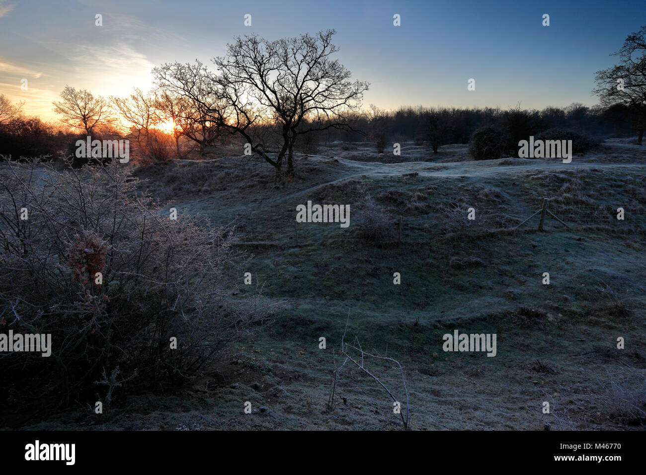 Winter Frostige Dämmerung, Barnack Hügel N Löcher, SSSI, Barnack Dorf, Cambridgeshire, England, Großbritannien Stockfoto