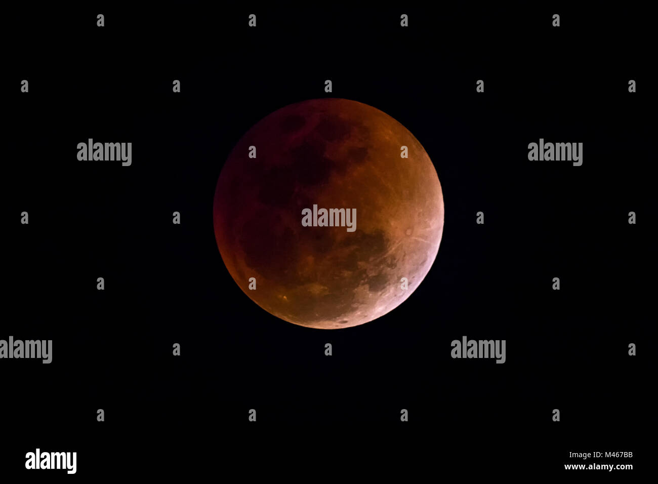 Blut Mond in der Mondfinsternis und auch ein Blue Moon und super Mond auf schwarzem Hintergrund Stockfoto