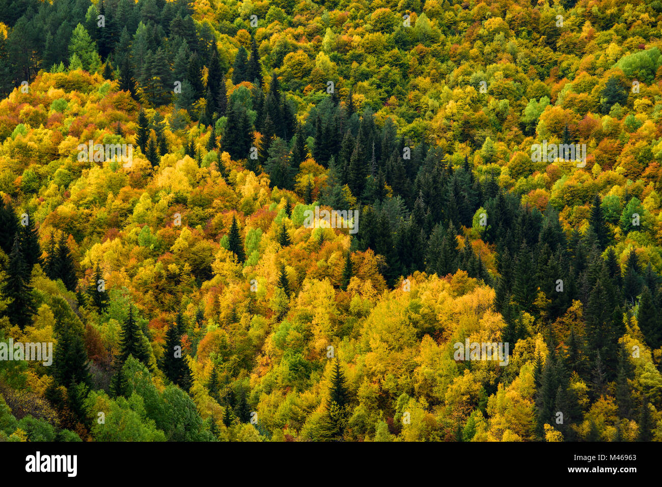 Die Ansicht von Mestia Georgien Land Stockfoto