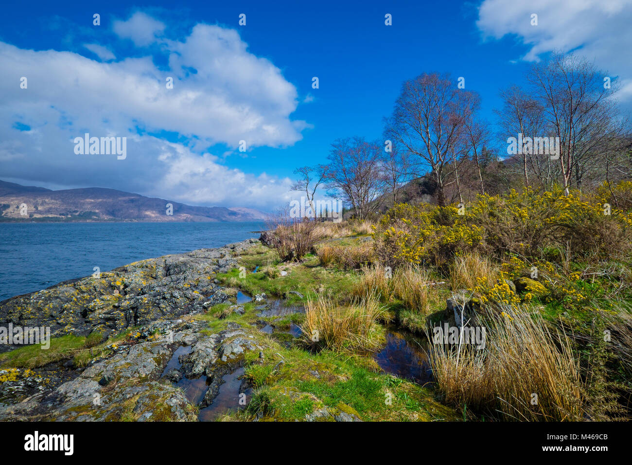 Blick auf Loch Linnhe, das ist der einzige See Loch entlang des Great Glen. Stockfoto