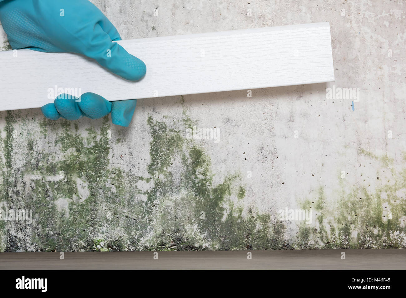 Nahaufnahme Einer Person Hand Fliesen Auf Schimmel An Der Wand Zu