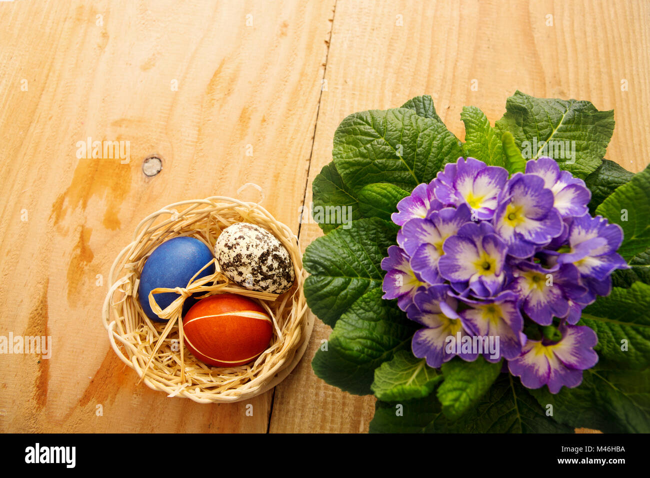 Ostern Korb mit bunten Eiern und Primrose. Stockfoto