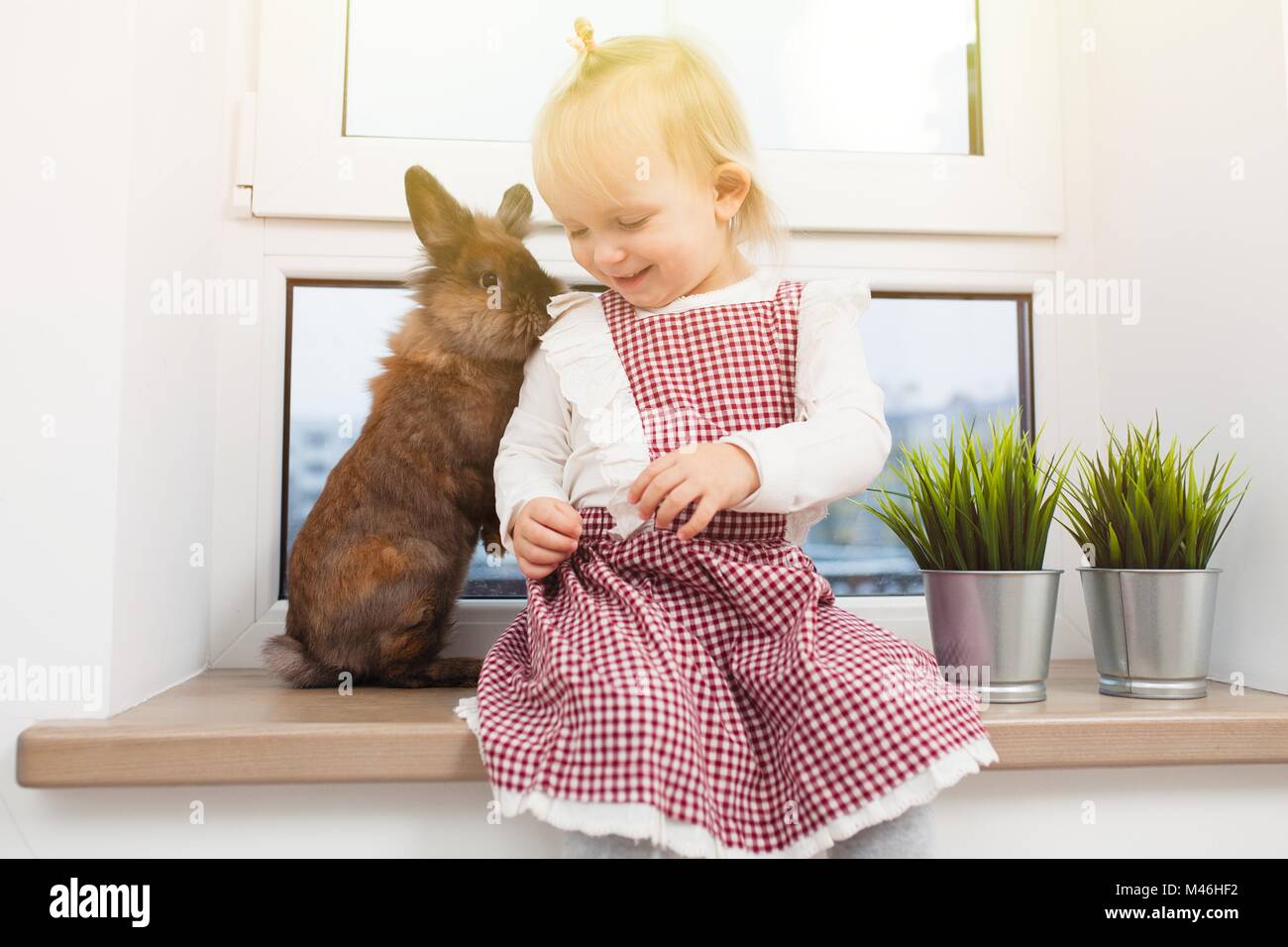 Süße kleine Mädchen mit Hase Stockfoto