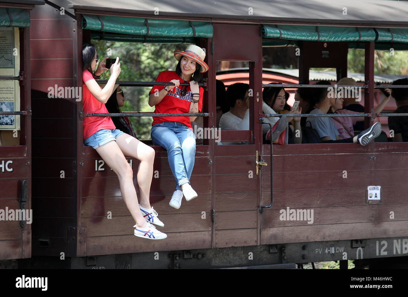 Touristen an Bord Dampfeisenbahn 'Puffing Billy', in Melbourne Stockfoto