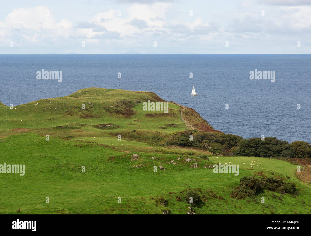 Grünen Weide auf der mit Blick auf die Sound of Mull auf der Isle of Mull, Schottland, Großbritannien Stockfoto