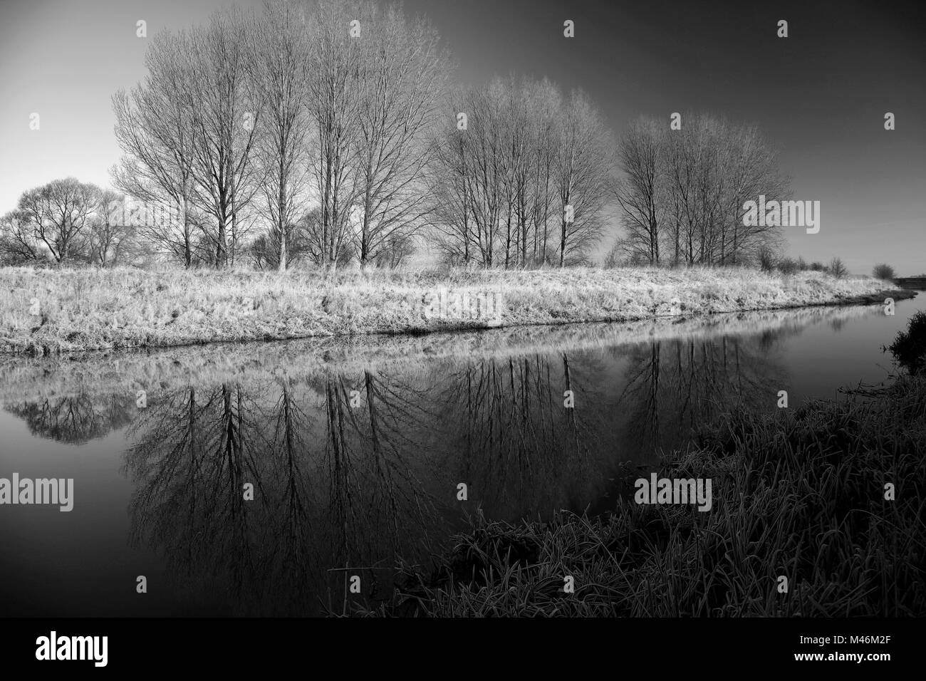 Winter Frost, Fluss Welland, peakirk Dorf, Cambridgeshire, England, Großbritannien Stockfoto