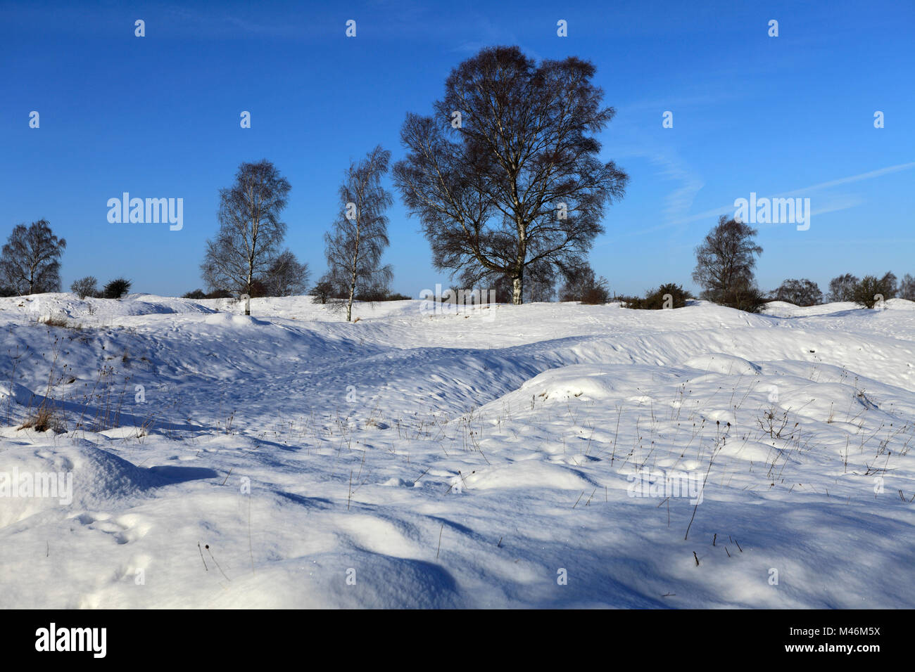 Winter Schnee am Barnack Hügel N Löcher, Website von besonderem wissenschaftlichen Interesse, Barnack Dorf, Cambridgeshire, England, Großbritannien Stockfoto