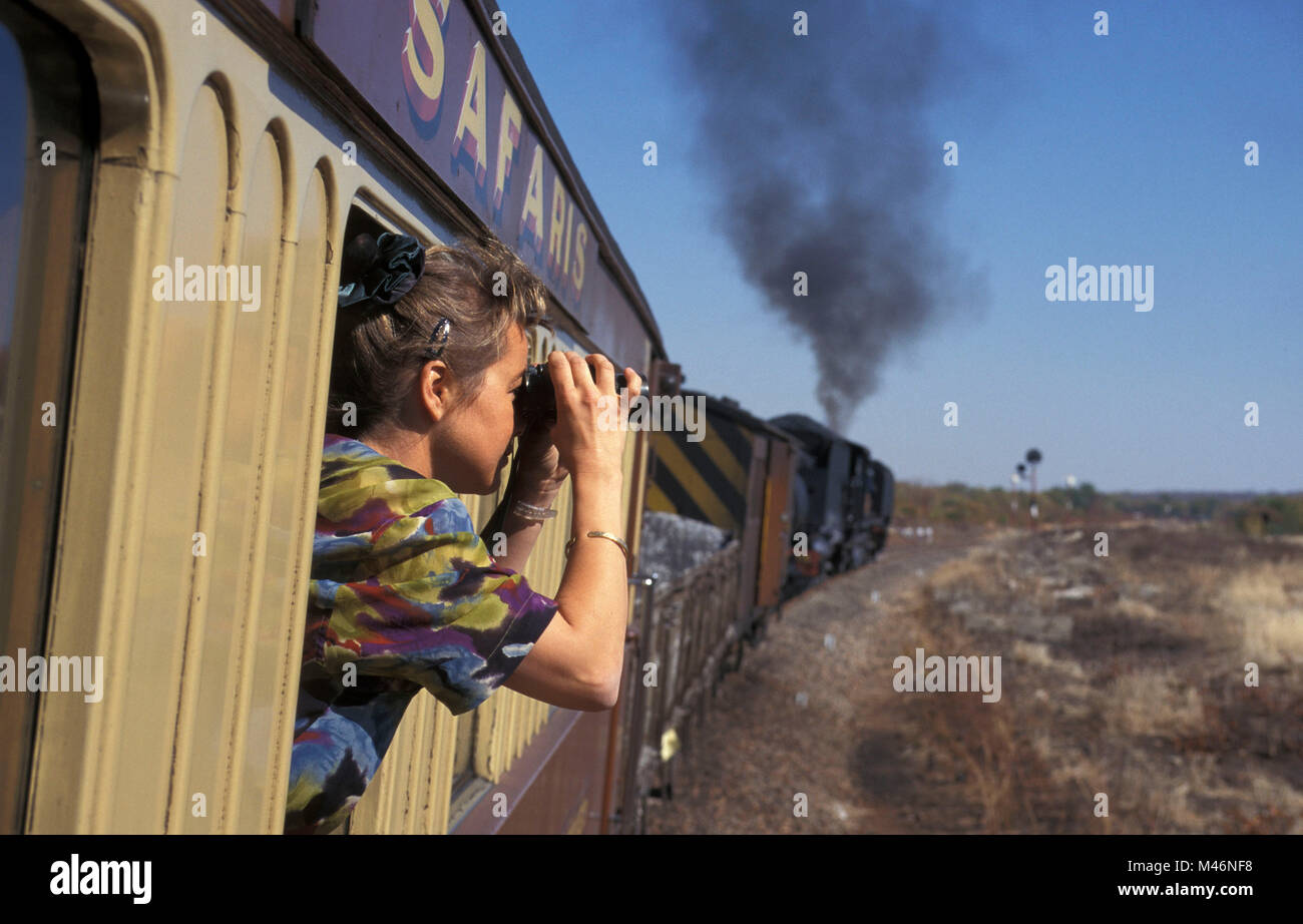 Simbabwe. In der Nähe von Bulawayo. Rail Safari. Dampfzug. Frau Blick aus Fenster mit dem Fernglas. Stockfoto