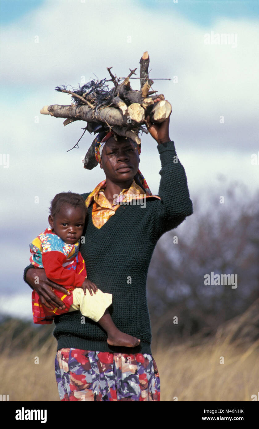 Simbabwe. In der Nähe von Harare. Frau mit Baby Feuer Holz auf den Kopf. Stockfoto