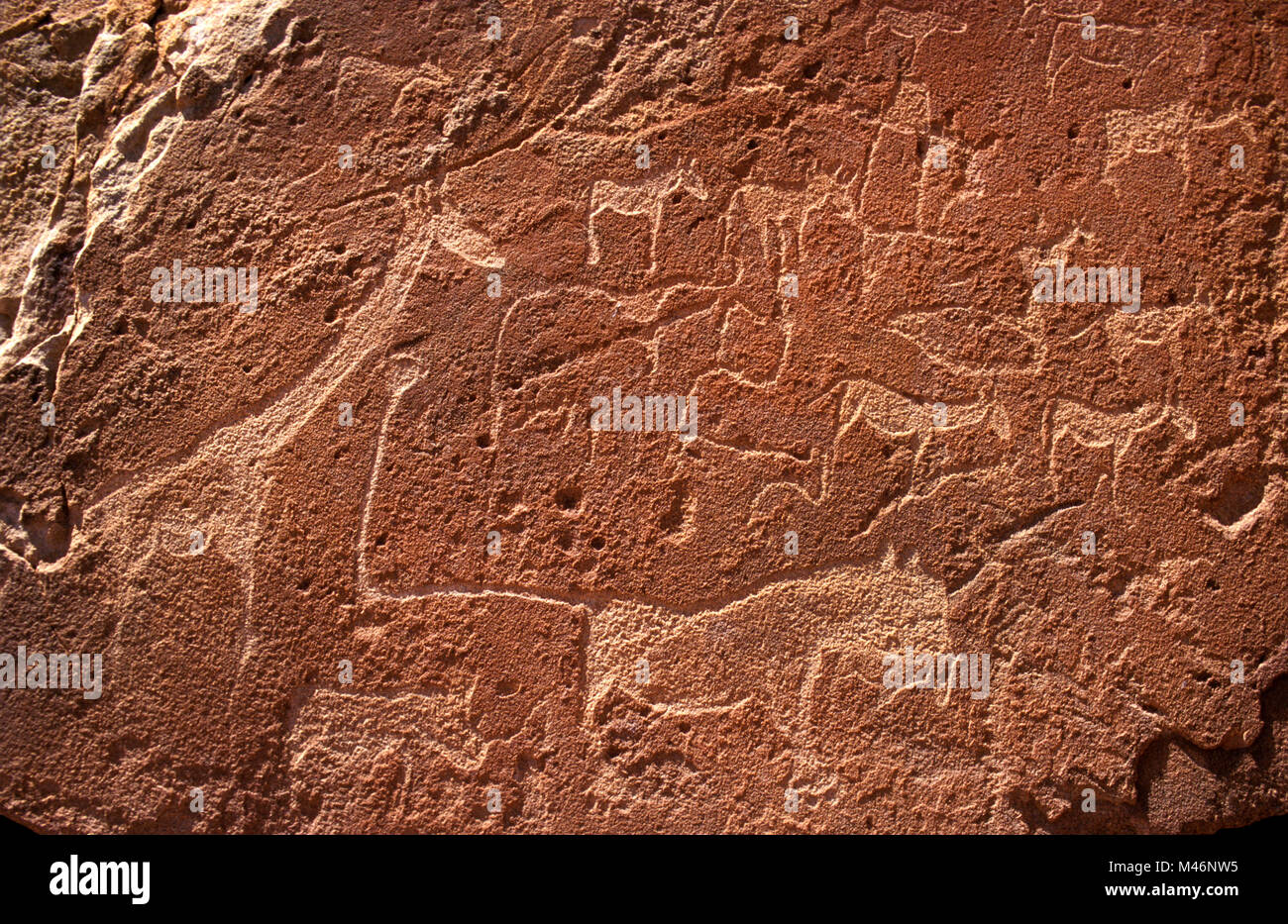 Namibia. Damaraland. Twyfelfontein. Eine der größten bekannten Sammlungen von Rock Art Gravuren in Afrika (über 6000 Jahre alt). Unesco Welterbe S Stockfoto