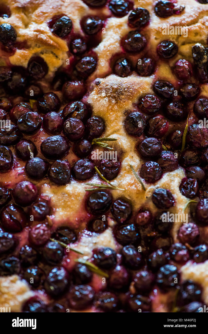 Florentiner Trauben Brot oder Schiacciata feiert die Weinlese Stockfoto