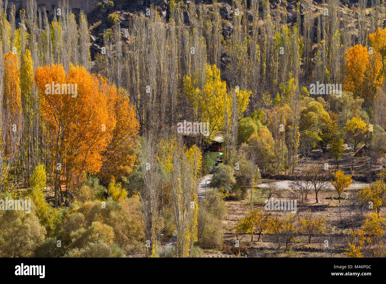 Herbstfarben im Ihlara Tal, Kappadokien, Türkei Stockfoto