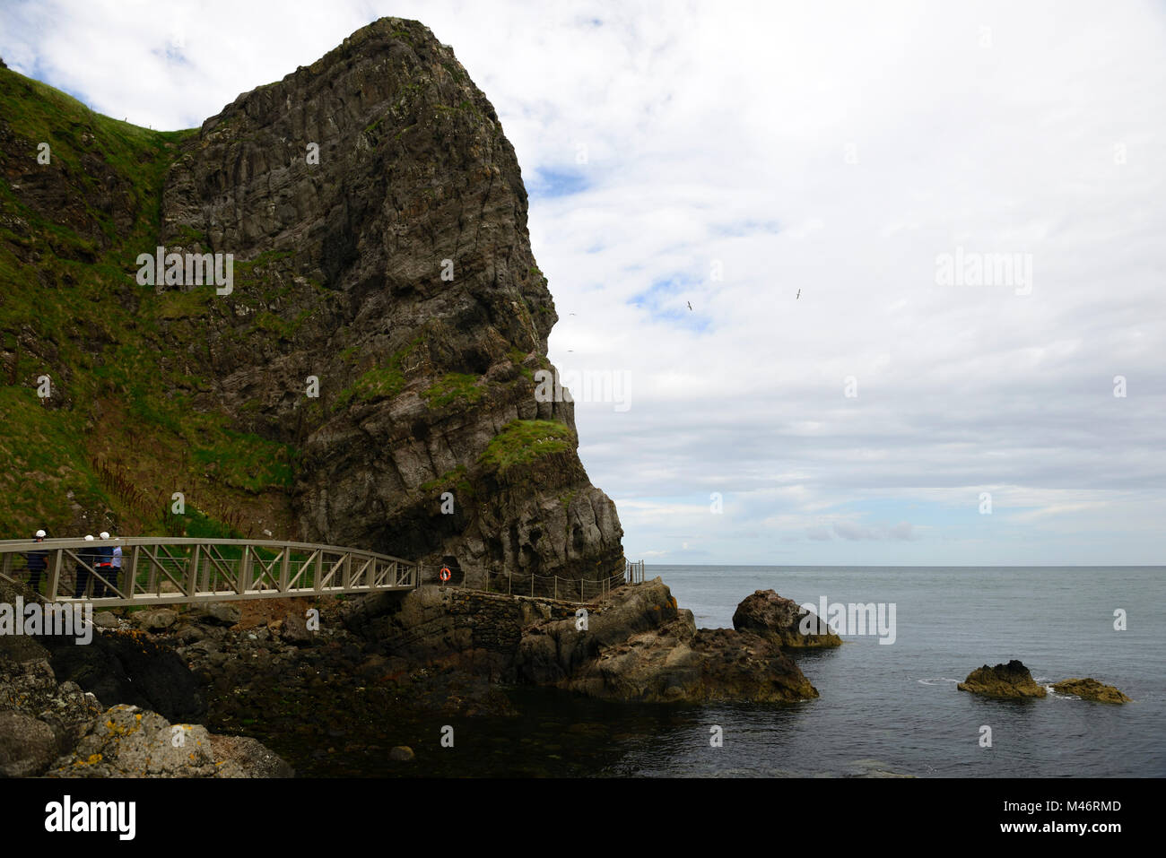 Die Gobbins Cliff Path, dramatische Klippe gehen, Metall, Brücke, Brücken, Causeway Coastal Route, Islandmagee, County Antrim, Nordirland, RM Irland Stockfoto