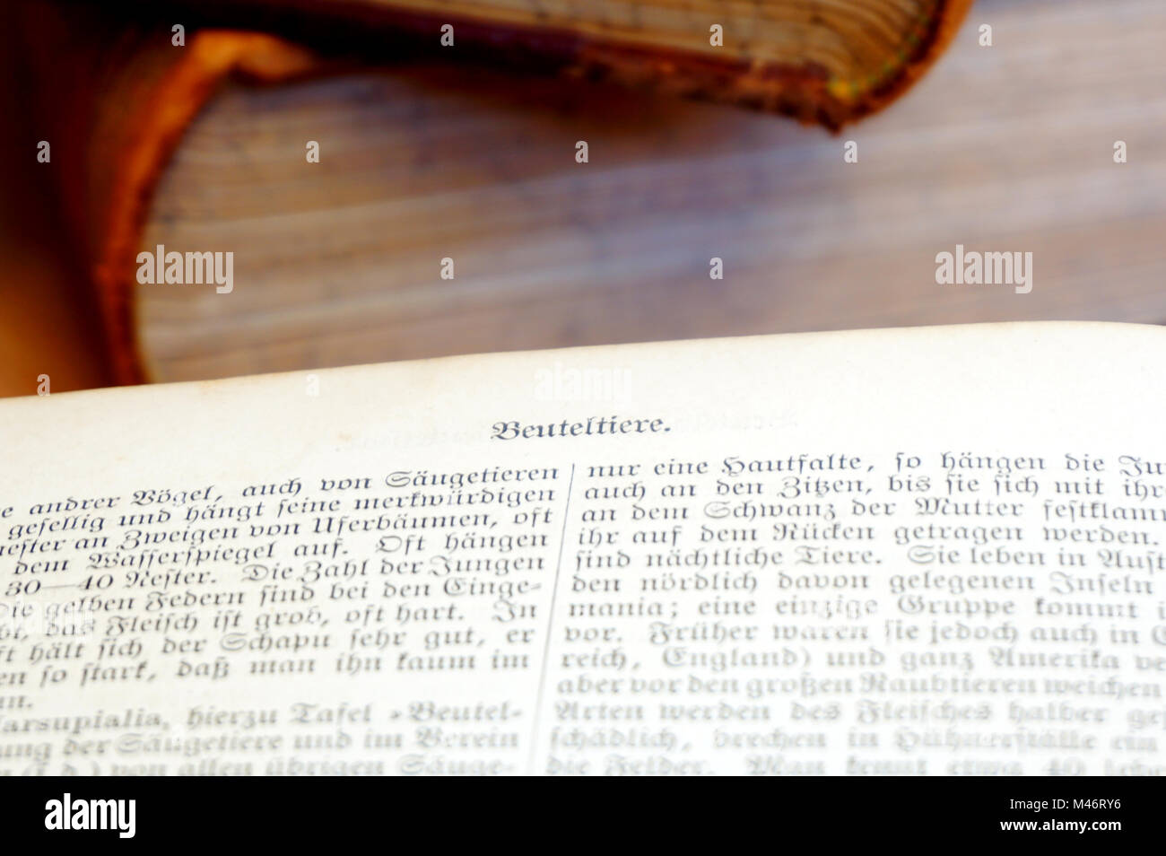 Alte Enzyklopädien und offenes Buch Seiten der Meyers Lexikon mit dekorativer Brief drucken, in der Nähe Stockfoto