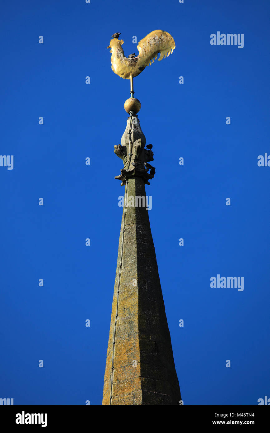 Weathervane auf St Benedicts Kirche, Glinton Dorf, Cambridgeshire, England, Großbritannien Stockfoto